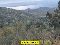 Edremit Kavlaklarda Satılık Muhteşem Deniz Manzaralı Zeytinlik